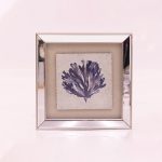 Cuadro alga decorativo