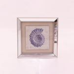 Cuadro caracola decorativo