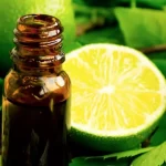 LEMONGRASS & VERBENA COLLECTION