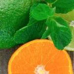 LIME BASIL & MANDARIN COLLECTION